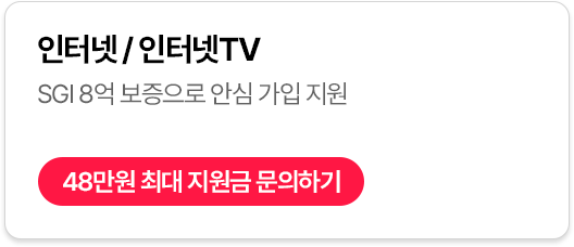 ���ͳ�, ���ͳ� TV