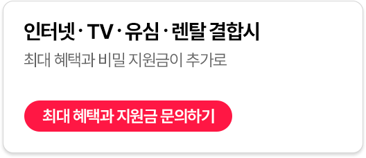 ���ͳ�,TV,�޴���,��Ż ���ս�