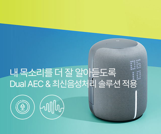 �� ��Ҹ��� �� �� �˾Ƶ赵�� Dual AEC & �ֽ�����ó�� �ַ�� ����